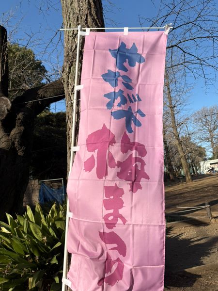 羽根木公園の梅まつり